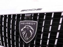 PEUGEOT_PEUGEOT_2008_2444008_28.jpg